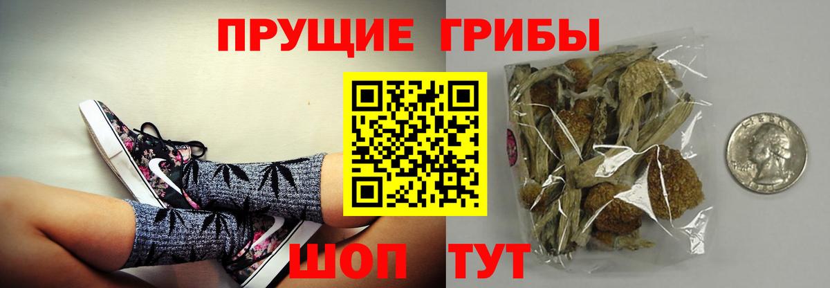 Галлюциногенные грибы Magic Shrooms  Галлюциногенные грибы прущие грибы  Вход с VPN  Осинники 